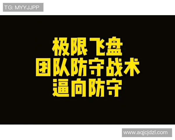 西安飞盘队技术表现分析与战术优化研究报告